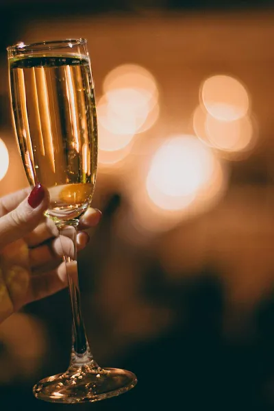 Choosing the Right Escort For a Social Event in London Image